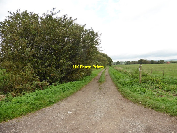 Photo 6"x4" Byway on Westhay Moor Westhay\/ST4342 c2017