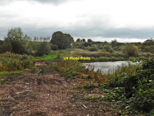 Photo 6"x4" Flooded peat extractions on Westhay Moor Lower Godney c2017