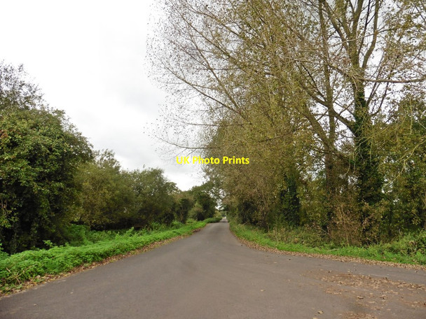 Photo 6"x4" Westhay Moor Drove Lower Godney c2017