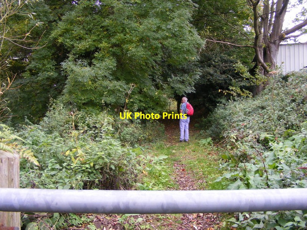 Photo 6"x4" Path view Trysull c2017
