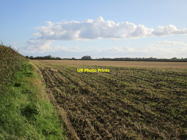 Photo 6"x4" Stubble field at Barbriggs Lissett c2017