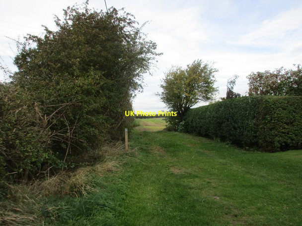 Photo 6"x4" Bridleway to Gransmoor Wood Gransmoor c2017