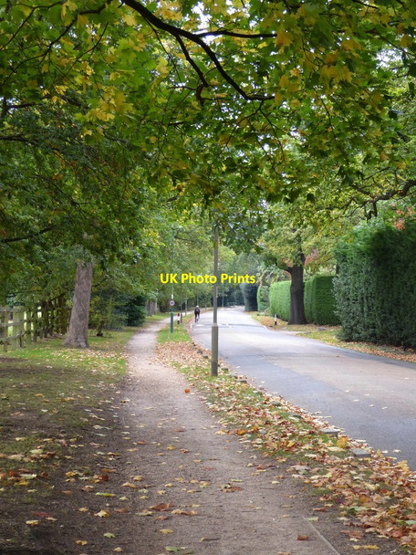 Photo 6"x4" Warren Road, Coombe Kingston Upon Thames c2017