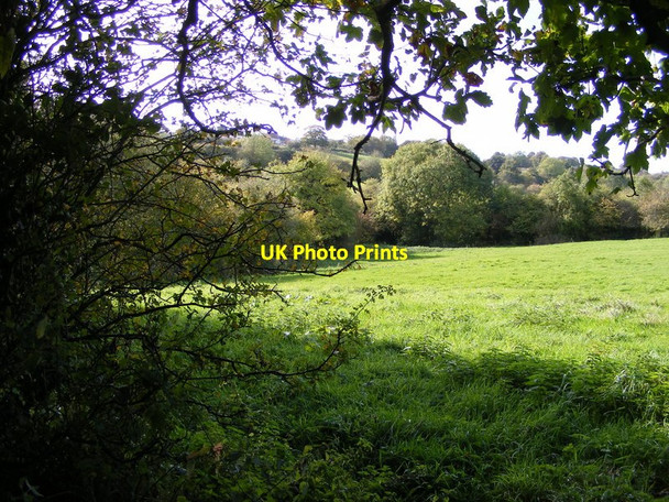 Photo 6"x4" Field Scene Coseley c2017