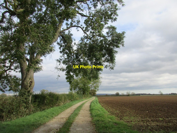 Photo 6"x4" Footpath to Normanby Manor Normanby\/SE7381 c2017