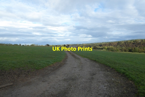 Photo 6"x4" Footpath to Long Crag Harlow Carr c2017