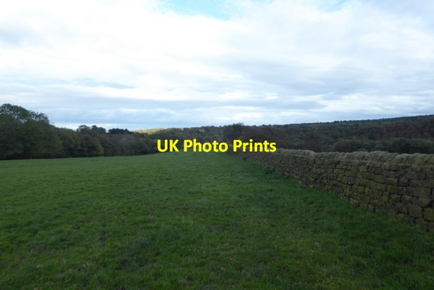 Photo 6"x4" Path at Long Crag Oakdale\/SE2855 c2017