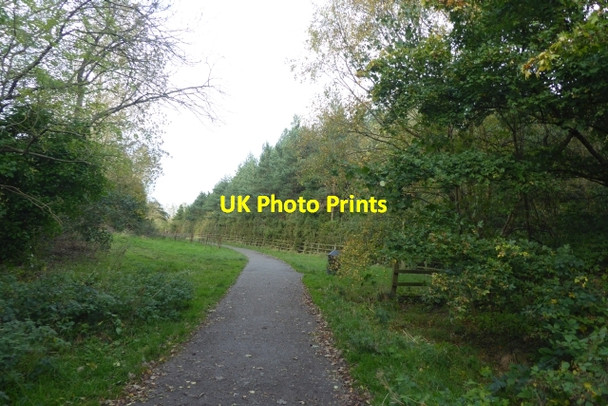 Photo 6"x4" Queen Ethelburga's Park to Jennyfield path Harrogate c2017