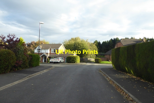 Photo 6"x4" Azerley Grove Harrogate c2017