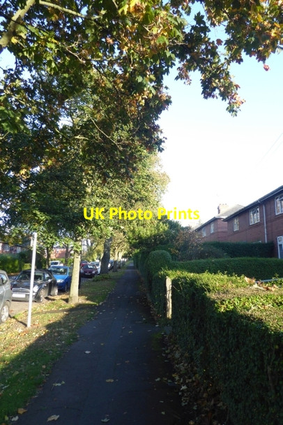 Photo 6"x4" Footpath on Oakdale Avenue Harrogate c2017