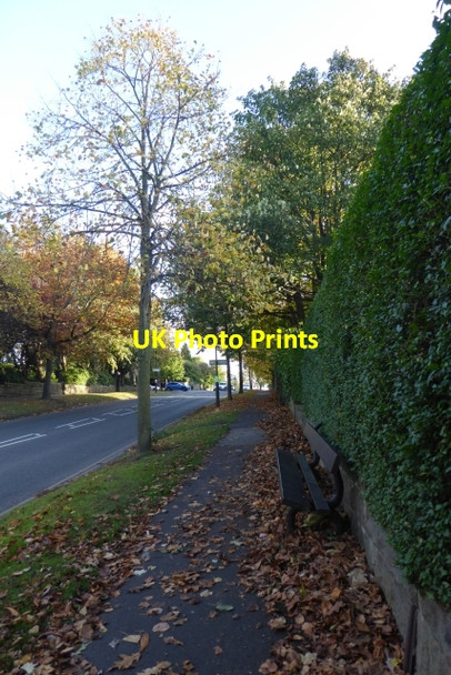 Photo 6"x4" Pavement on Ripon Road Harrogate c2017