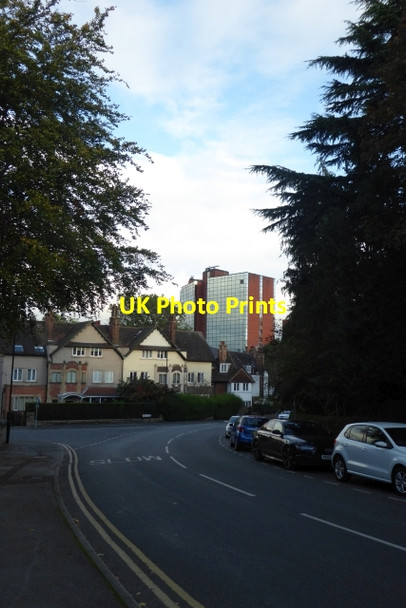 Photo 6"x4" Springfield Avenue Harrogate c2017