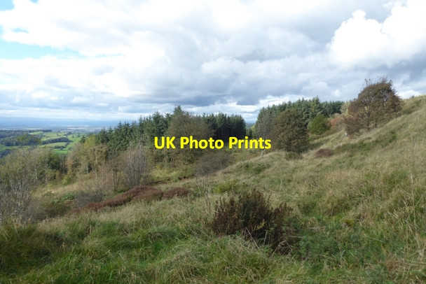 Photo 6"x4" Woodland below Boltby Scar Boltby c2017