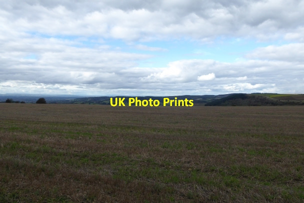 Photo 6"x4" Fields on Cold Kirby Moor Cold Kirby c2017