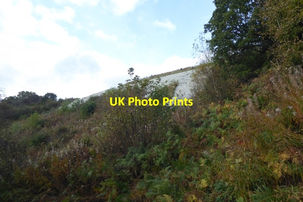 Photo 6"x4" Looking towards part of the White Horse High Kilburn c2017