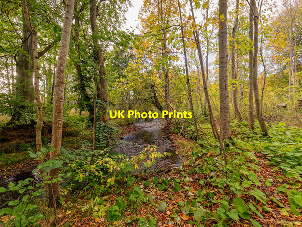 Photo 6"x4" Rosehaugh Burn Avoch c2017