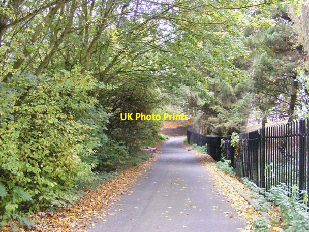 Photo 6"x4" Oak Street Coseley c2017