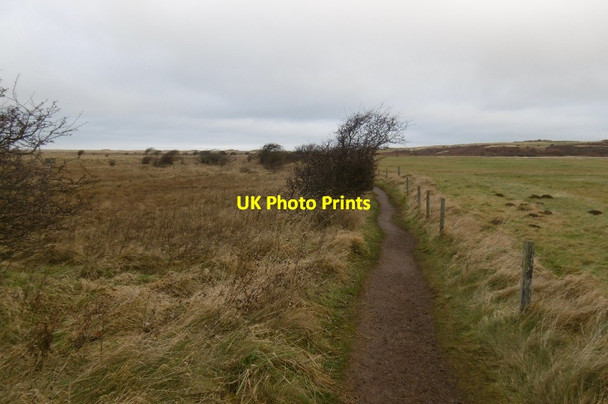 Photo 6"x4" Path, Aberlady Bay Aberlady c2017