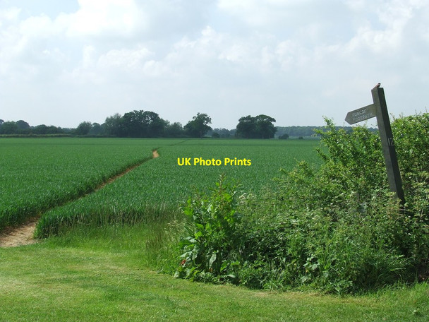 Photo 6"x4" Marked Footpath Delvin End c2017