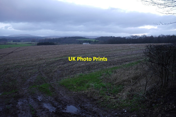Photo 6"x4" Stubble near Doune Doune\/NN7301 c2017