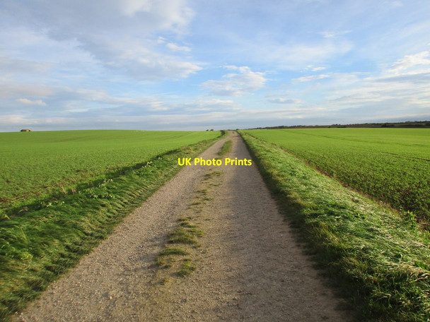 Photo 6"x4" Southfield Lane Barmston\/TA1659 c2017 P1