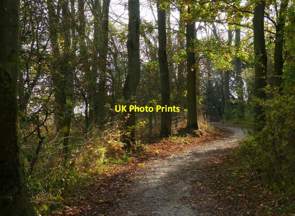 Photo 6"x4" Rutland Water Circular Route Gunthorpe\/SK8605 c2017