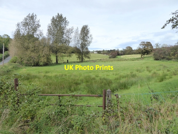 Photo 6"x4" Field off Rakeevan Heights Bailieborough c2017