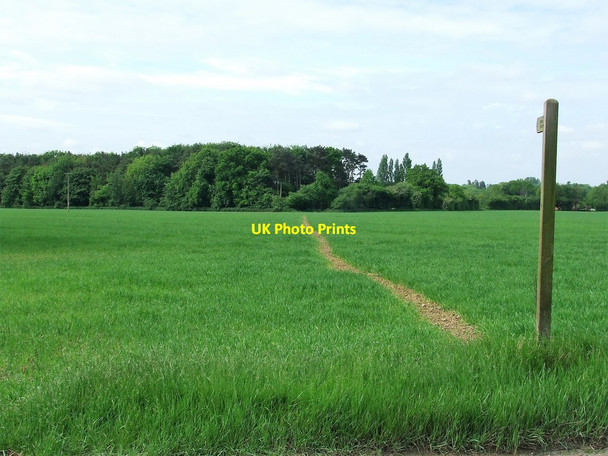 Photo 6"x4" Marked Footpath Almshouse Green\/TL7533 c2017