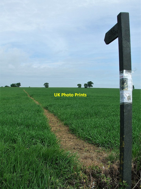 Photo 6"x4" Footpath Over The Horizon Brickkiln Green c2017