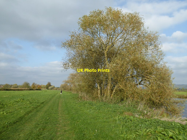 Photo 6"x4" Riverside path beside the River Avon Bredon's Hardwick c2017