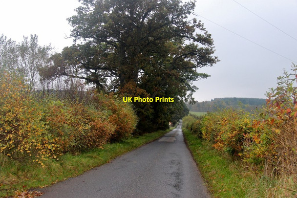 Photo 6"x4" Minor road near Moneydie Moneydie c2017