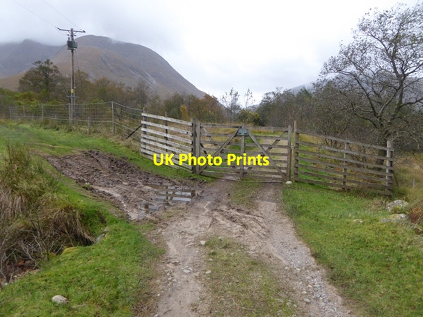 Photo 6"x4" Gate to Coileitir Coiletir c2017