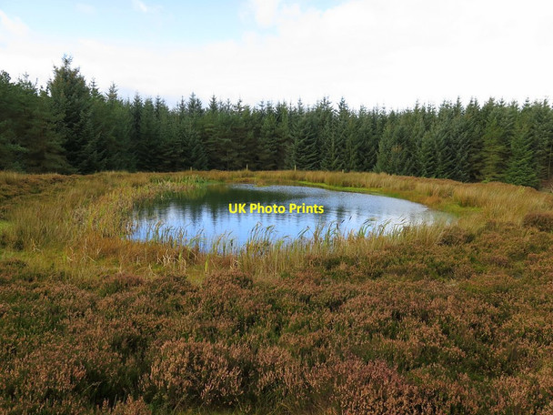 Photo 6"x4" Pond, Ladycross Bank Quarry Colpitts Grange c2017