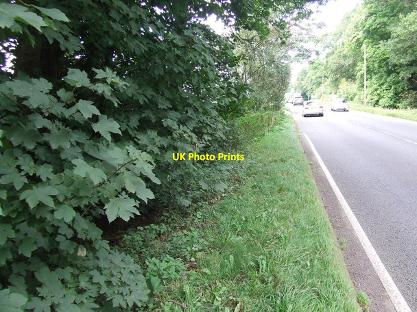 Photo 6"x4" The A41 and Hidden Milestone Pickstock c2017