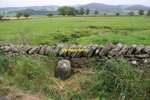 Photo 6"x4" Boundary stone beside road from Giggleswick to Rathmell Settle c2017