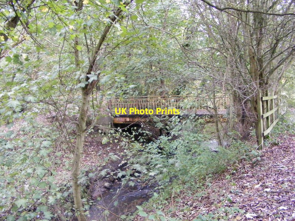 Photo 6"x4" Stream View Compton\/SO8898 c2017