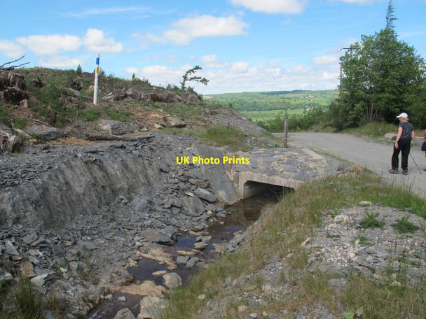 Photo 6"x4" Forestry road above Corwen Corwen c2017