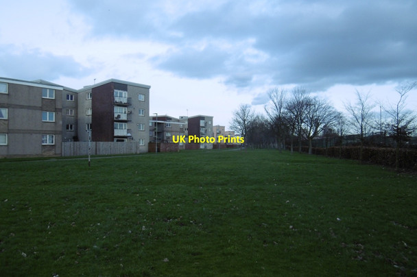 Photo 6"x4" Green space, Bowhouse Grangemouth c2017