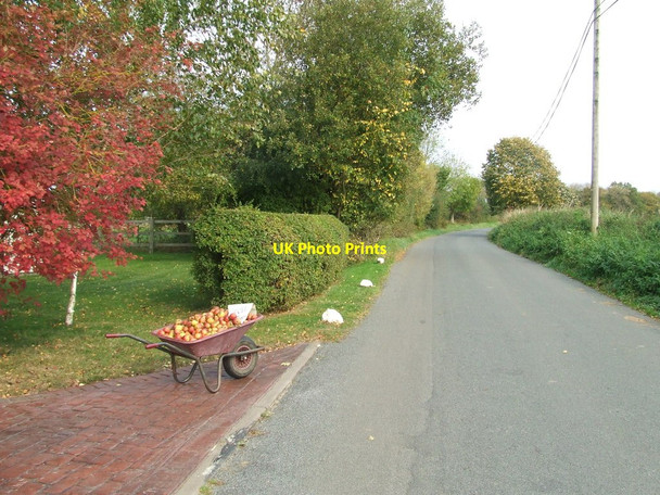 Photo 6"x4" Free Apples Cole Green\/TL4331 c2017