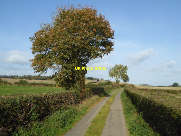 Photo 6"x4" No through road in Bushley Tewkesbury c2017 P1