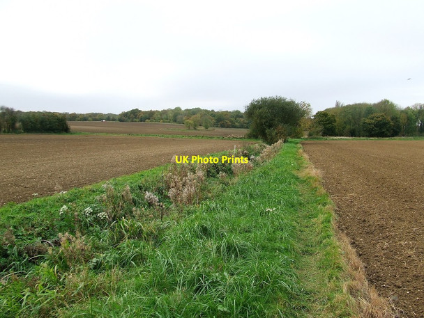 Photo 6"x4" Looking Along The County Boundary Lower Green\/TL4233 c2017