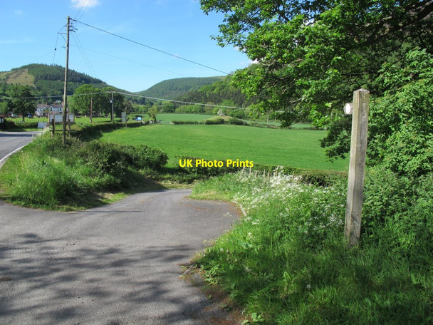 Photo 6"x4" Road to Y Pandy Llandynan c2017
