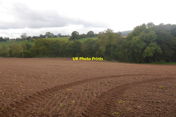 Photo 6"x4" Cultivated ground, Ditton Priors Middleton Baggot c2017
