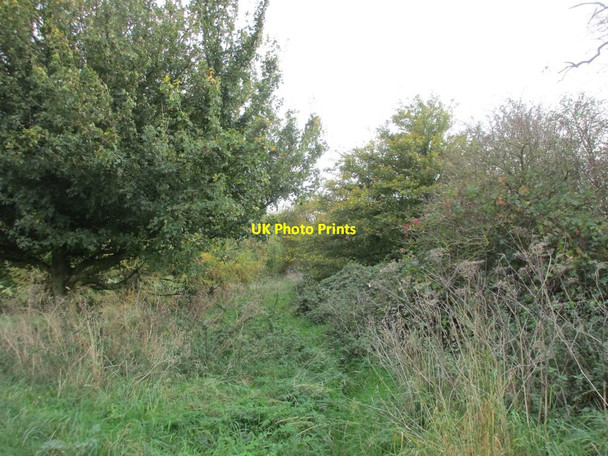 Photo 6"x4" Footpath to Welton Hackthorn\/SK9982 c2017