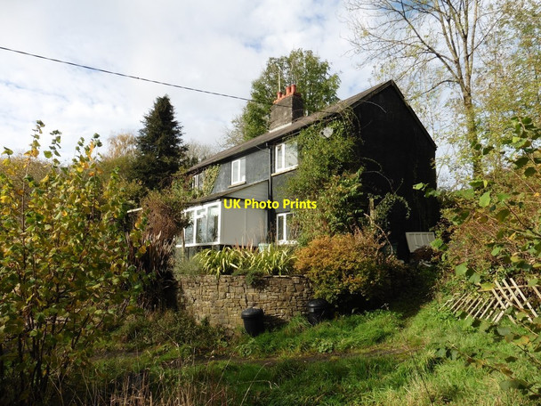 Photo 6"x4" House above Cove Down Farm Cove\/SS9519 c2017