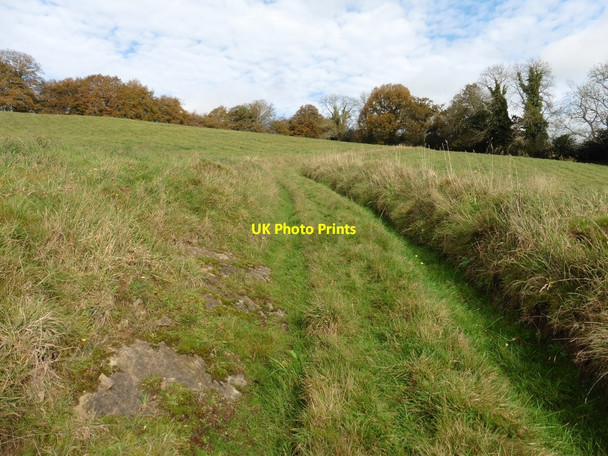Photo 6"x4" Track on Cove Down Cove\/SS9519 c2017