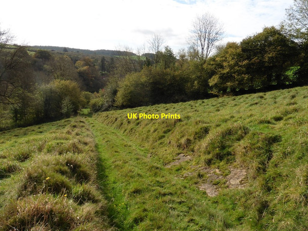 Photo 6"x4" Track to Cove Down Farm Cove\/SS9519 c2017