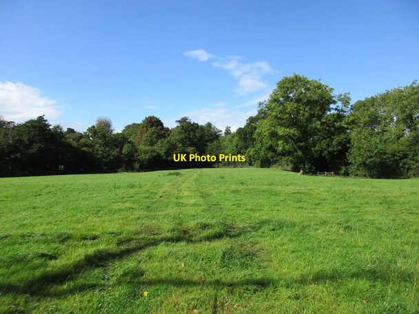 Photo 6"x4" Grass field near Melbury Osmond Drive End c2017