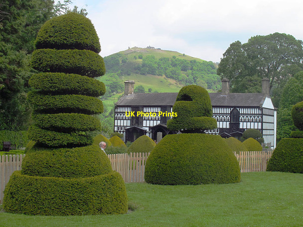 Photo 6"x4" Plas Newydd - topiary Llangollen c2017