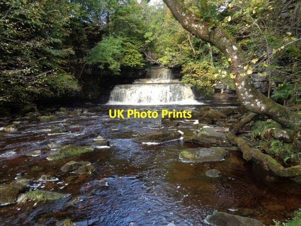 Photo 6"x4" Cotter Force Appersett c2017